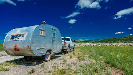 July 17, 2016 - Sheep ranchers unload sheep on Hastings Mesa near Ridgway, Colorado from truckのeditorial素材