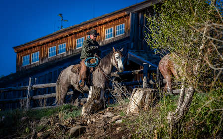 APRIL 22, 2017, RIDGWAY COLORADO: Cowboys ride horse on Centennial Ranch, Ridgway, Colorado - a cattle ranch owned by Vince Kotnyのeditorial素材