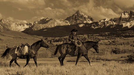 OCT 4, 2017, RIDGWAY COLORADO - Older Cowboy, Howard Linscott , leads packhorse across historic Last Dollar Ranch on Hastings Mesa, SW Colorado, San Juan Mountainsのeditorial素材
