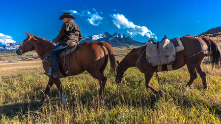 OCT 4, 2017, RIDGWAY COLORADO - Older Cowboy, Howard Linscott , leads packhorse across historic Last Dollar Ranch on Hastings Mesa, SW Colorado, San Juan Mountainsのeditorial素材