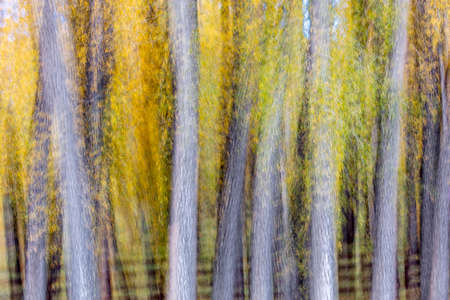 October 8, 2018 Colorado, USA - Impressionistic Autumn Color in Coloradoのeditorial素材