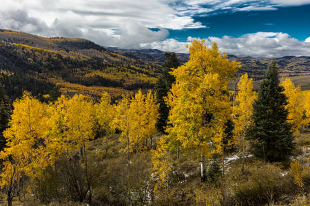 OCTOBER 8, 2014 - Colorado, USA - Autumn Color in Colorado, Landscapeのeditorial素材