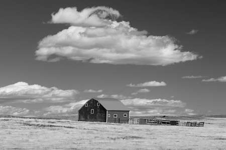 OCTOBER 10, 2018 - Oklahoma, USA barn in field with puffy clouds in remote Oklahoma - black and whiteのeditorial素材