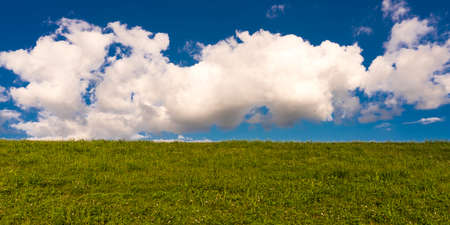 OCTOBER 14, 2018 - Lafayette, Louisiana - white clouds cross field of green grassのeditorial素材