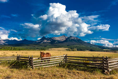 JULY 12, 2018, RIDGWAY COLORADO USA - Horse overlooks worm western fence in front of San Juan Mountains in Old West of Southwest Colorado near Ridgwayのeditorial素材