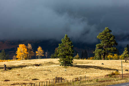 OCTOBER 8, 2014 - Colorado, USA - Autumn Color in Colorado, Landscapeのeditorial素材