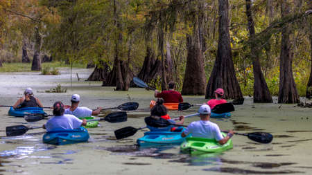 OCTOBER 14, 2018 - Lafayette, Louisiana, USA - Kaya,ing in Cajun Swamp & Lake Martin, near Breaux Bridge and Lafayette Louisianaのeditorial素材
