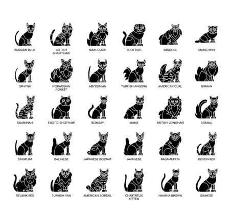 Breed Cat1 , Thin Line and Pixel Perfect Iconsのイラスト素材