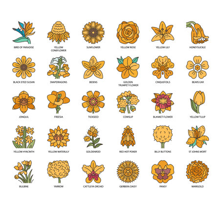 Set of Yellow flowers thin line icons for any web and app project.のイラスト素材