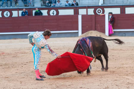 matador and bullのeditorial素材