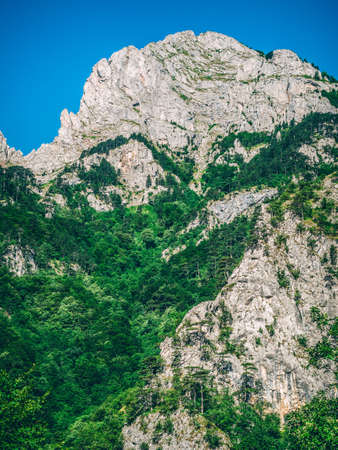 Mountain Tops in Sutjeska National Parkの写真素材