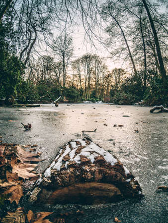 Frozen Wood Log In Waterの写真素材