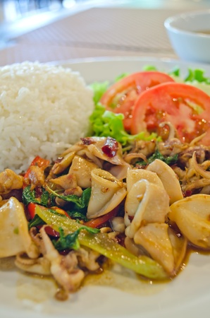 basil squid served with rice in thailandの写真素材