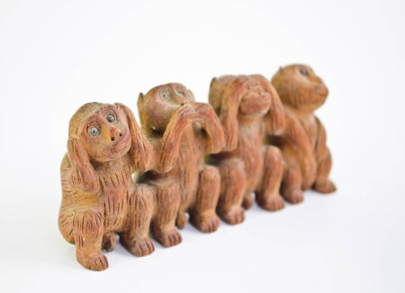 three monkeys and a special one isolated on white backgroundの写真素材