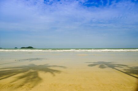 shadow of coconut tree on the beachの写真素材
