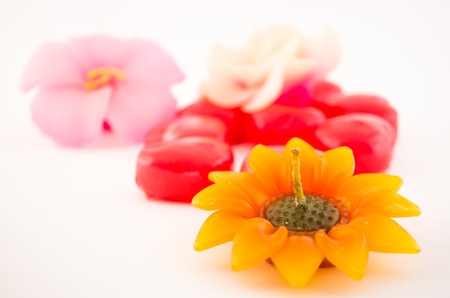 group of flower candle on white backgroundの写真素材