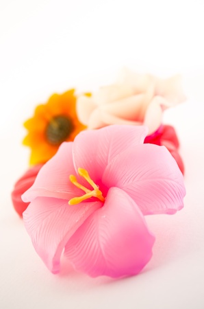 group of flower candle on white backgroundの写真素材