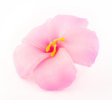 close up of flower candle on white backgroundの写真素材