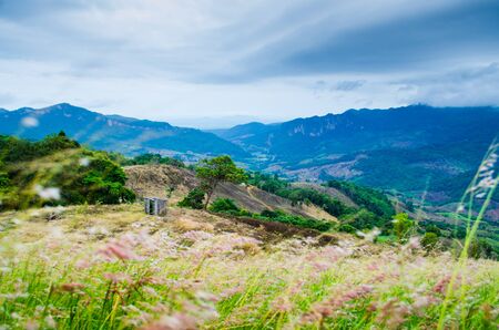 landscape of mountain view with small wood cabin in thailandの写真素材