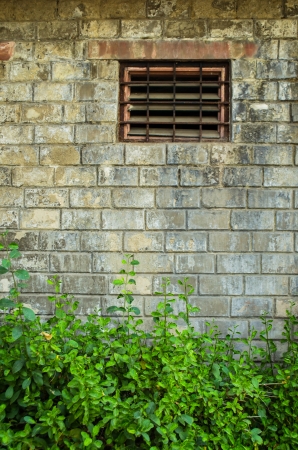 steel black window on old brick wallの写真素材