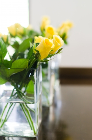 yellow rose in the jar of waterの写真素材