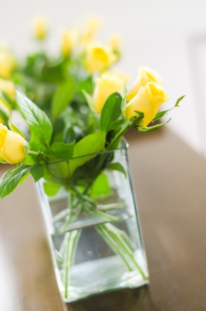 yellow rose in the jar of waterの写真素材
