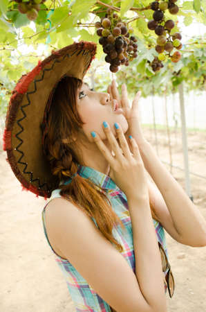 asian women looking at the grapes in grapes farmの写真素材