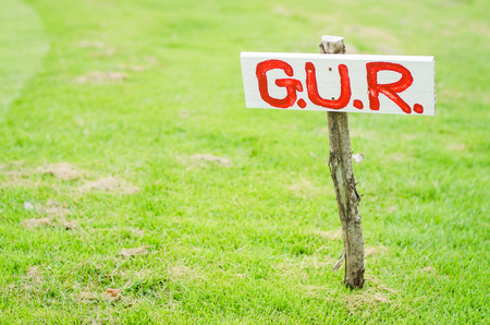 gur in golf courseの写真素材