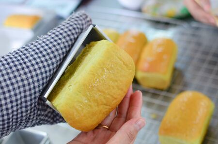 baked pandan bread in stainless steel blockの写真素材