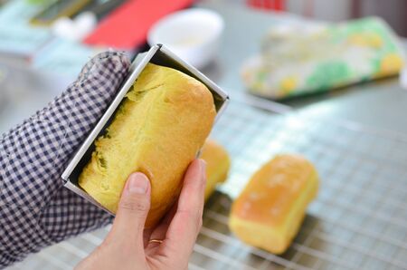 baked pandan bread in stainless steel blockの写真素材