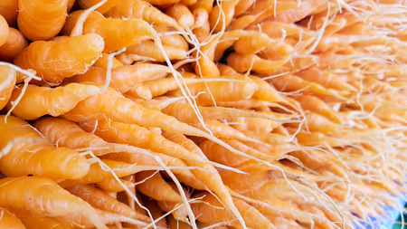 close up pile of baby carrotの写真素材
