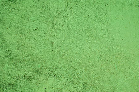 texture of a green shade with a drawing of plasterの写真素材