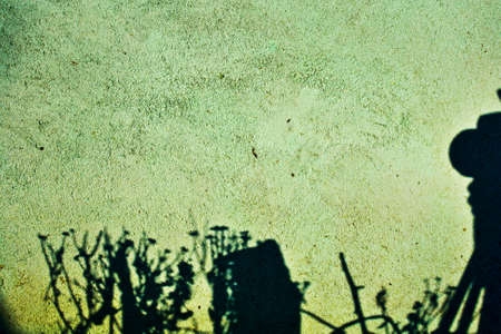 art texture green with shadows wallの写真素材