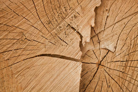 texture background wood cut cracksの写真素材