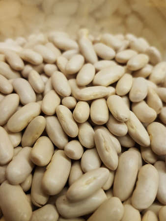 a close up image to a quantity of white dry bean.の写真素材