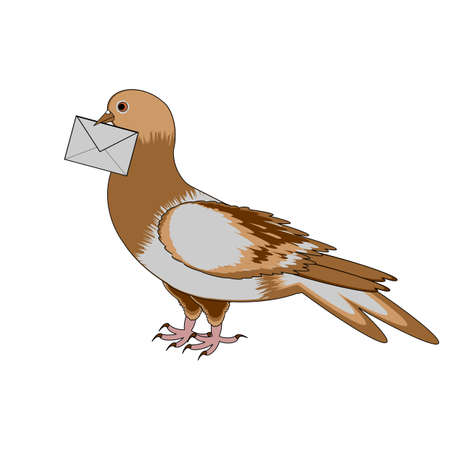 A pigeon with a letter on a white background.のイラスト素材
