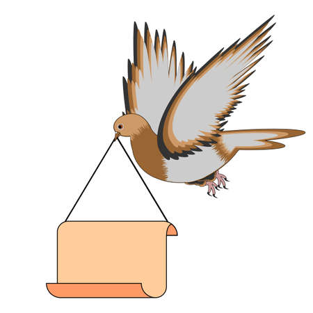 A flying pigeon holding a big blank paper in his beak. のイラスト素材