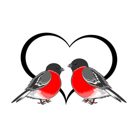 A couple of cute bullfinches (pyrrhula) with a heart. Vector-art illustration on a white backgroundのイラスト素材