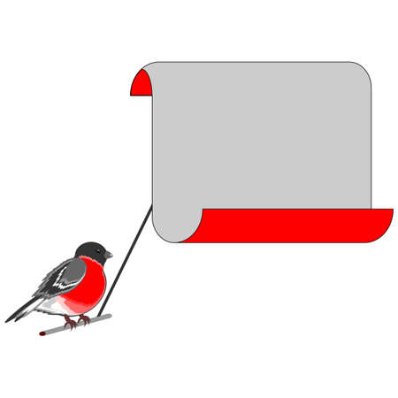 A bullfinch with a big blank paper for congratulations. Vector-art illustration on a white backgroundのイラスト素材
