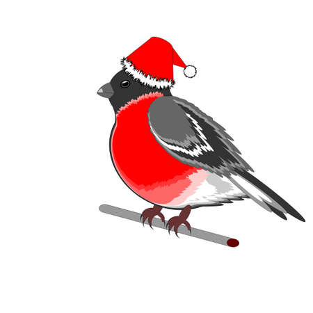 A Christmas bullfinch. Vector-art illustration on a white backgroundのイラスト素材