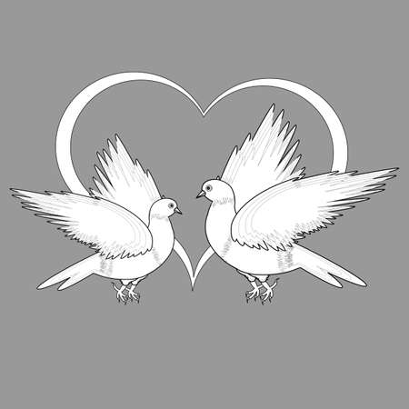 A monochrome sketch of two flying doves and a heart. Vector-art illustrationのイラスト素材