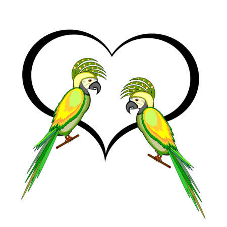 A couple of macaw parrots with a heart.  のイラスト素材