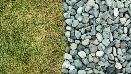 Texture of green carpet grass and bunch of natural grey and white pebbles.の写真素材