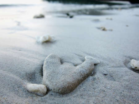 Flat heart-shaped beach stone. Copy space.