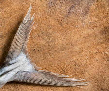 Raw uncooked fish on a chopping boardの写真素材