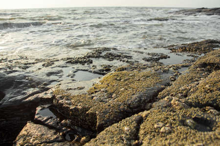 Strong wave splashing on the rocky shores.の写真素材