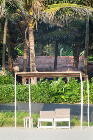 the loungers under the palm treesの写真素材