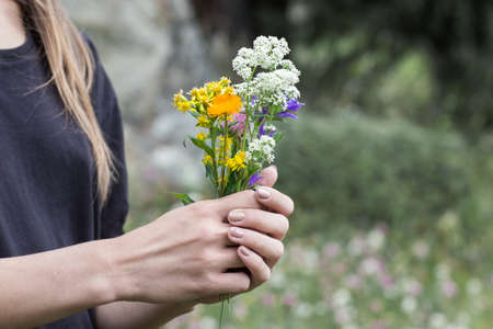 women's hands holding wild flowersの写真素材