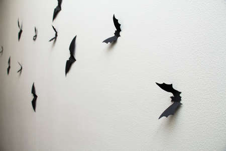 origami bats on the wall