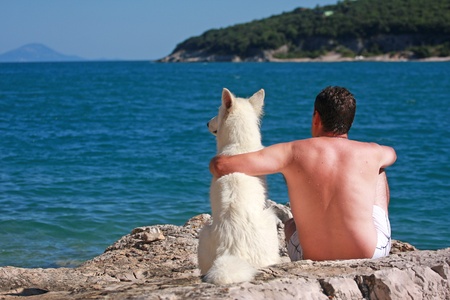 friendship between man and dogの写真素材